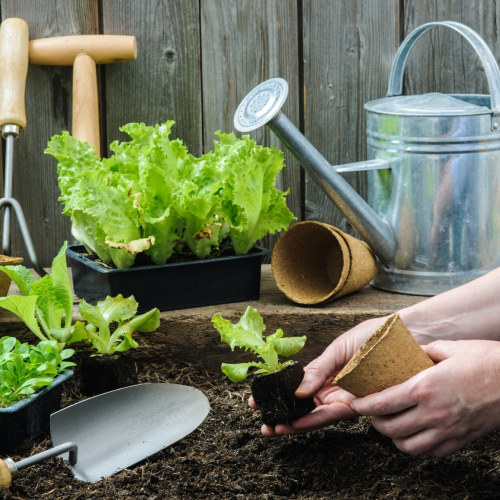 Применение